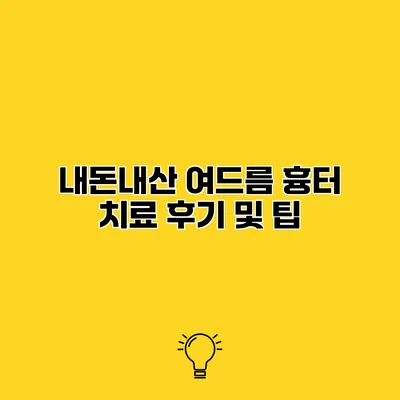 내돈내산 여드름 흉터 치료 후기 및 팁