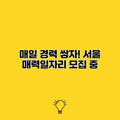 매일 경력 쌓자! 서울 매력일자리 모집 중