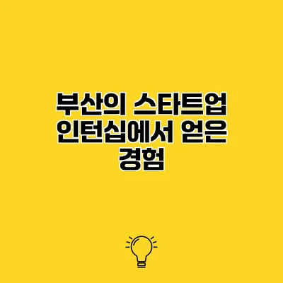 부산의 스타트업 인턴십에서 얻은 경험