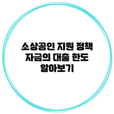 소상공인 지원 정책 자금의 대출 한도 알아보기