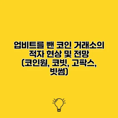 업비트를 뺀 코인 거래소의 적자 현상 및 전망 (코인원, 코빗, 고팍스, 빗썸)