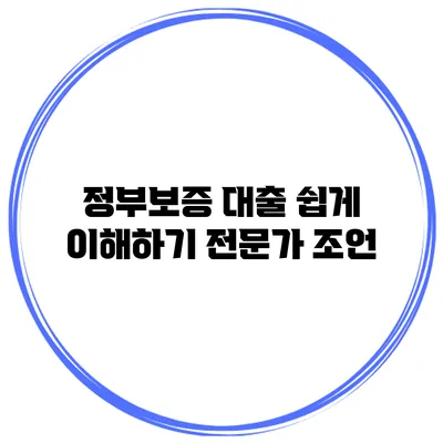 정부보증 대출 쉽게 이해하기 전문가 조언
